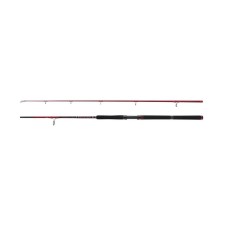 canne-penn-squadron-iii-allround-spinning-rod.jpg