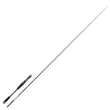 Canne Sakura Ionizer G2 Casting Power Game