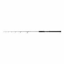 canne-shimano-beastmaster-catfish-fireball.jpg