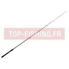 Canne Tenryu Injection BCV 6.0 MH