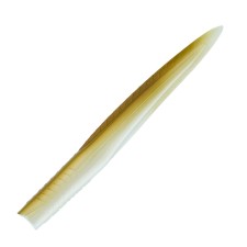 Leurre Souple Sakura Majikeel 220mm