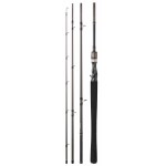 canne-daiwa-exceler-mobile-2-ex764hxhfbdf.jpg