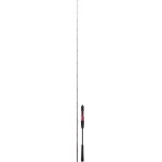 canne-daiwa-megaforce-big-fish-2-1-1.jpg