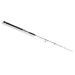 canne-hearty-rise-skywalker-jigging-spinning-swj-663s400.jpg