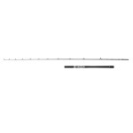 canne-penn-battalion-solid-hybrid-boat-rod.jpg