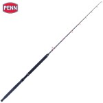 canne-penn-conflict-xr-tuna-casting-rod.jpg