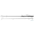 canne-zenaq-inqlude_is90.jpg