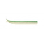 corps-crazy-sand-eel-couleur-vert-nacre.jpg