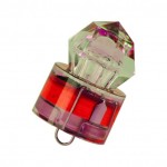 lampe-flash-pour-calamar-grands-fonds-4-rouge.jpg