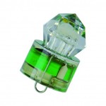 lampe-flash-pour-calamar-grands-fonds-5-verte.jpg