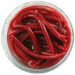 leurre-berkley-gulp-alive-angle-worm-5-cm-1.jpg