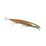 leurre-coulant-rapala-flash-x-extremo-160mm-13.jpg