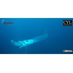 leurre-cyl-artesano-real-squid-160mm-video.jpg