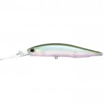 leurre-duo-realis-jerkbait-100-dr-ccc3254.jpg