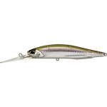 leurre-duo-realis-jerkbait-100-dr-dsh3061.jpg