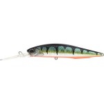 leurre-duo-realis-jerkbait-100-dr_cpaz429.jpg
