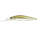 leurre-duo-realis-jerkbait-100-dr_fa0006.jpg
