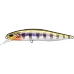 leurre-duo-realis-jerkbait-100-sp-3ada-3058.jpg