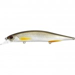 leurre-duo-realis-jerkbait-120-spk-ana3261.jpg