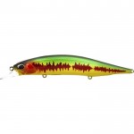 leurre-duo-realis-jerkbait-120-spk-ccc3175.jpg