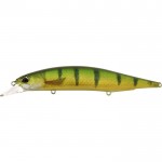 leurre-duo-realis-jerkbait-120-spk-ccc3864.jpg