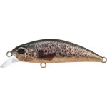 leurre-duo-spearhead-ryuki-45-s_cccz442.jpg