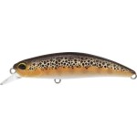 leurre-duo-spearhead-ryuki-60-s_cccz432.jpg