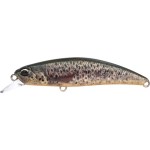 leurre-duo-spearhead-ryuki-60-s_cccz442.jpg