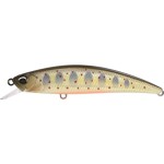 leurre-duo-spearhead-ryuki-70-f_ana4048.jpg