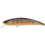 leurre-duo-spearhead-ryuki-70-f_cccz432.jpg