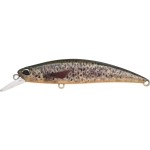 leurre-duo-spearhead-ryuki-70-s_cccz442.jpg