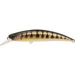 leurre-duo-spearhead-ryuki-80-s_cccz431.jpg