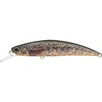 leurre-duo-spearhead-ryuki-80-s_cccz442.jpg