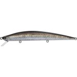 leurre-duo-tide-minnow-slim-120-18-cna0841.jpg