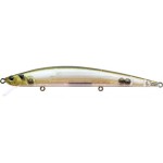 leurre-duo-tide-minnow-slim-120-22-gea0499.jpg