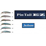 leurre-jackson-pintail-ez.jpg