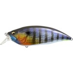 leurre-megabass-big-m-20-126mm_ggwildgillbm.jpg