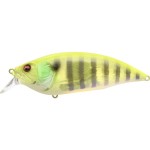 leurre-megabass-big-m-20-126mm_seetroughtchartgill.jpg