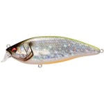 leurre-megabass-konosirus-shad-150mm-7-chart-back-konoshiro.jpg