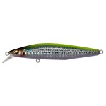 leurre-megabass-marine-gang-cookai-90s-4-gg-chart-back-bora.jpg