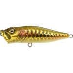 leurre-megabass-pop-x-dragon_fish_g.jpg