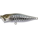 leurre-megabass-pop-x-dragon_fish_s.jpg