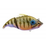 leurre-megabass-vatalion-115mm-ito-cichlid.jpg