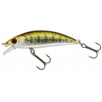 leurre-phoxy-minnow-hw-40-s-couleur-natural-trout-t05-.jpg