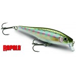 leurre-rapala-bx-minnow.jpg