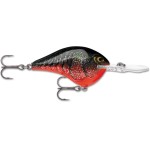 leurre-rapala-dives-to-series-dt10-60mm-4-rcw.jpg