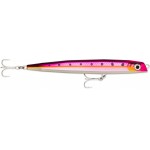 leurre-rapala-flash-x-dart-140mm-14-hdpsrd.jpg