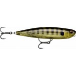 leurre-rapala-precision-xtreme-pencil-107mm-6-ggiu.jpg