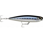 leurre-rapala-precision-xtreme-pencil-saltwater-3-bsrdl.jpg