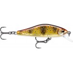 leurre-rapala-shadow-rap-solid-shad-50mm-15-mtr.jpg